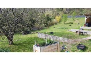 Haus kaufen in 2640 Gloggnitz, Zwei Wohneinheiten mit eigenem Wald – Naturparadies in Gloggnitz!