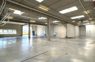 Lager mieten in 1300 Flughafen Wien, Service- und Büroflächen direkt am Flughafen Wien