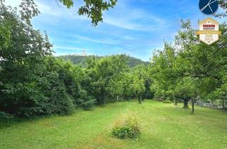 Grundstück zu kaufen in Furth/Göttweig, 3511 Furth bei Göttweig, Baugrund für Einfamilien- oder Doppelhaus im Grünen