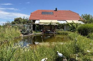 Haus kaufen in 7543 Neusiedl, Großzügiges Haus in absoluter Ruhelage mit Schwimmteich