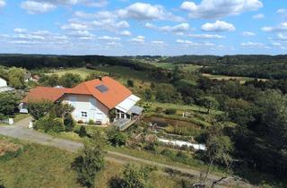 Haus kaufen in 7543 Neusiedl, Großzügiges Haus in absoluter Ruhelage mit Schwimmteich