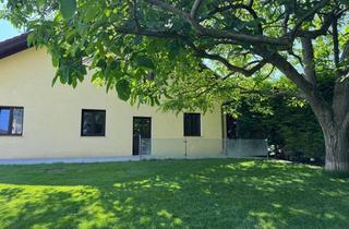 Wohnung mieten in 3484 Grafenwörth, Mietwohnung mit großer Terrasse