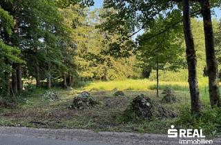 Grundstück zu kaufen in 4575 Roßleithen, Ihr Traumgrundstück ? 3.035 m² Bauland und Grünland