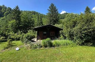 Haus kaufen in Jassingau, 8920 Jassingau, ***Natur pur: Charmante Gartenhütte mit Bachlauf auf 2000m² in ruhiger Lage***