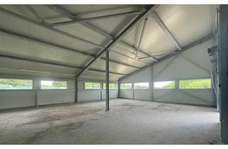 Gewerbeimmobilie mieten in 8403 Lang, Miete - Neuwertige 1260m² Halle in 8403 Lang, Steiermark - Ideal für Industrie/Gewerbe! *Teilvermietung möglich*