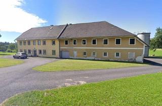 Bauernhäuser zu kaufen in 4083 Haibach ob der Donau, Bauernhof mit ca. 14,6 ha landwirtschaftlichen Nutzgrund