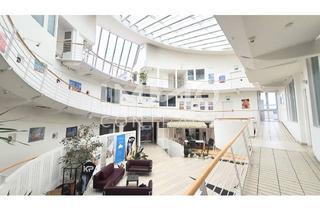 Büro zu mieten in Alfred-Feierfeil-Straße, 2380 Perchtoldsdorf, Büro ca. 19m², All-Inklusive Miete (inkl. BK, Heizung, Strom, Parkplatz nach Verfügbarkeit)