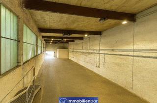 Büro zu mieten in 4600 Thalheim bei Wels, Große Lagerhalle mit Büro in Betriebsbaugebiet – mit Genehmigung für „Schlosserei“, Nähe Wels