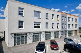 Büro zu mieten in 2325 Himberg, Moderne Verkaufs- & Schauraumflächen in Top-Lage bei Wien - 62 m² bis 203 m² verfügbar!