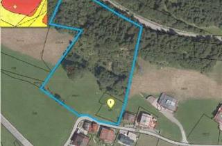 Grundstück zu kaufen in 6754 Klösterle, 12216m² großes Grundstück in Klösterle am Arlberg - Wiese