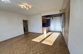 Wohnung kaufen in Liesing, 1230 Wien, 3,5 Zimmer Familienwohnung in der Draschestraße im Bieterverfahren