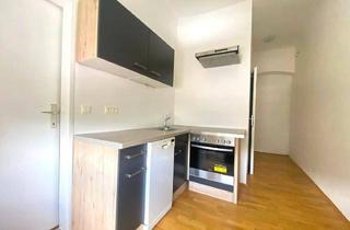 Wohnung kaufen in Wiener Straße, 8020 Graz, Neu renovierte, ca. 30 m² große Wohnung in der Wienerstraße 232 zu verkaufen!