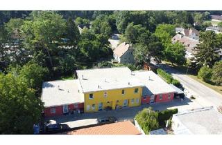 Wohnung kaufen in 2000 Stockerau, Modern Wohnen in Stockerau