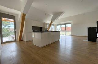 Penthouse mieten in Hauptplatz, 2442 Unterwaltersdorf, Großzügig. Hell. Ungestört. Penthouse-Feeling mit riesigen Fensterfronten und 40 m² großer Terrasse im Zentrum von Unterwaltersdorf!