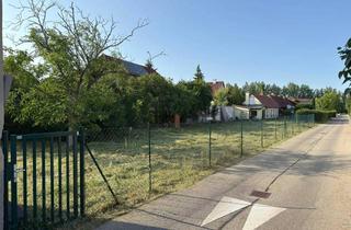 Grundstück zu kaufen in Dreipappelstraße 42a, 2700 Wiener Neustadt, Ruhig, zentral, provisionsfrei - Baugrund mit Altbestand zu verkaufen