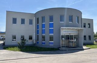 Büro zu mieten in 2432 Schwadorf, Kombinierte Büro- und Betriebsflächen zu vermieten