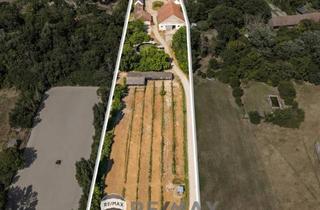 Grundstück zu kaufen in 2301 Andlersdorf, "Großzügiges Grundstück mit Pferdehof und sanierungsbedürftigem Haus - nur Minuten von Wien entfernt"