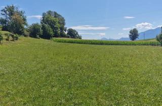 Grundstück zu kaufen in 9100 Völkermarkt, Traumhaftes, ca. 3.109 m² großes Baugrundstück mit Blick auf die Karawanken im Bezirk Völkermarkt