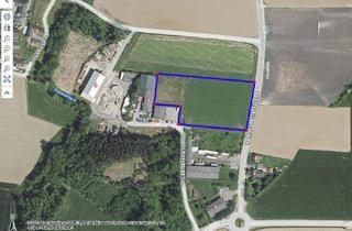  in 4483 Hargelsberg, Grundstück mit B Widmung plus 13068 m2 angrenzend auf Anfrage Miete oder Kauf