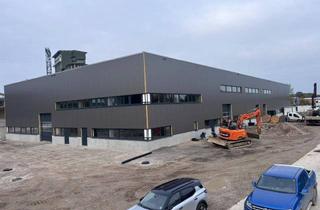 Lager mieten in 5151 Nußdorf am Haunsberg, 850m² Abteil im Rewal Businesspark Nußdorf