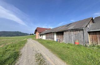 Gewerbeimmobilie kaufen in 8733 Sankt Marein bei Knittelfeld, 13 ha Pferde-/Bauernhof mit arrondierter Panoramalage