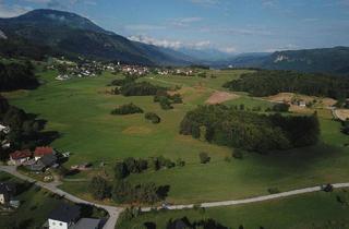 Grundstück zu kaufen in Trieblach 11, 9173 Sankt Margareten im Rosental, Baugrund
