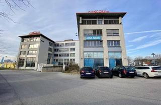 Büro zu mieten in 2320 Schwechat, CONCORDE BUSINESS PARK