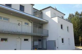 Wohnung mieten in Seeweg 2/1/6, 3426 Muckendorf an der Donau, Muckendorf. Top 1/6 geförderte 3 Zimmer Wohnung | 32m² Garten | Miete mit Kaufrecht.