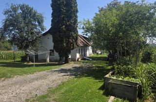 Bauernhäuser zu kaufen in Landorf 11, 8092 Mettersdorf am Saßbach, Bauernhaus (stark sanierungsbedürftig) mit viel Grund und kleinem Teich