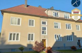 Wohnung kaufen in Wald, 2020 Hollabrunn, neuer Preis: Traumhafte 3-Zimmer-Wohnung mit Garten