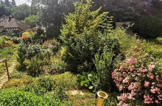 Wohnung kaufen in Wald, 2020 Hollabrunn, Traumhafte 3-Zimmer-Wohnung mit Garten