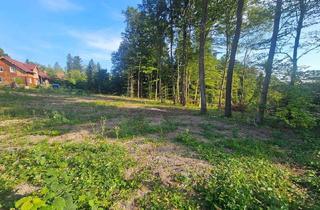 Grundstück zu kaufen in 3033 Altlengbach, "In Kaufabwicklung!" SCHÖNES, SÜDSEITIGES GRUNDSTÜCK IN WALDRANDLAGE