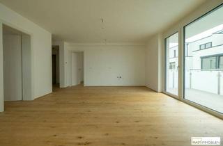 Wohnung mieten in 2104 Spillern, Wohnen in Ihrem neuen Wohn(T)raum - Schlüsselfertiger ERSTBEZUG direkt in Spillern / Küche folgt in Kürze