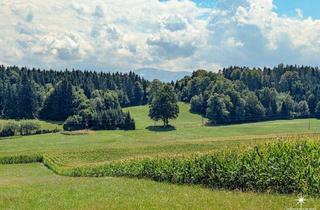 Gewerbeimmobilie kaufen in 9062 Moosburg, Wiesenfläche in Moosburg – attraktive Kapitalanlage in der Natur.