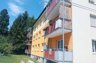 Wohnung mieten in Oberer Markt 133, 8933 Sankt Gallen, 3-Zimmer Erdgeschosswohnung mit Garten