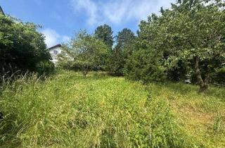 Grundstück zu kaufen in 2345 Brunn am Gebirge, Bauträger Projekt in bester Lage in Brunn am Gebirge