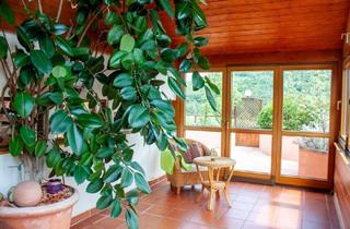 Haus mieten in 2392 Sulz im Wienerwald, "Das schöne Leben genießen!"