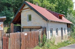 Haus kaufen in 2640 Schmidsdorf, Sanierungsbedürftiges Haus mit großem Grundstück und Entwicklungspotential