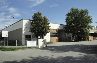 Gewerbeimmobilie mieten in Resthofstraße 69, 4400 Steyr, TEILBARE HALLENFLÄCHE ZUR MIETE