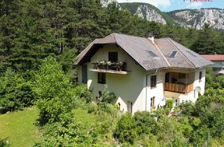 Einfamilienhaus kaufen in 2724 Stollhof, Hohe Wand - Einfamiliehaus mit 3 Wohneinheiten auf 1.100 m² Grund!