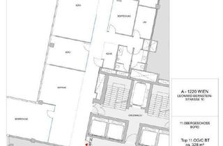 Büro zu mieten in Leonard-Bernstein-Straße, 1220 Wien, Hochwertige Flächen im Saturn Tower