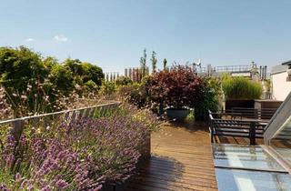 Penthouse kaufen in Wipplingerstraße 12/25, 1010 Wien, 107m² & Dachterrasse mit Whirlpool mitten in der Innenstadt | TOP LAGE