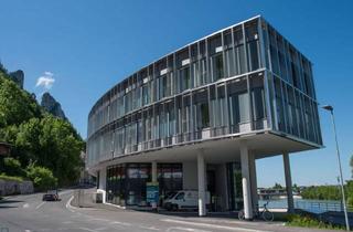 Büro zu mieten in 5400 Hallein, Modernes Büro mit Nachhaltigkeit!