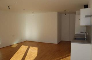 Wohnung mieten in Mühlgasse 6A/Top A 4, 9900 Lienz, Lienz: gemütliche Garconniere - Top A4