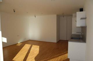 Wohnung mieten in Mühlgasse 6A/Top A 4, 9900 Lienz, Lienz: gemütliche Garconniere - Top A4