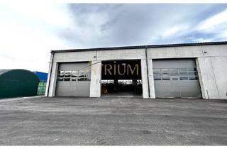 Immobilie mieten in 2500 Baden, 68m² oder doch 135m²? Lagerhalle mit bis zu 7m Deckenhöhe