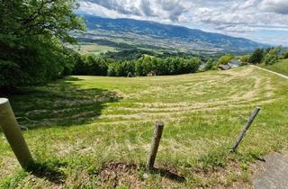 Gewerbeimmobilie kaufen in Hartelsberg, 9421 Eitweg, Landwirtschaftliches Weideland zu verkaufen!
