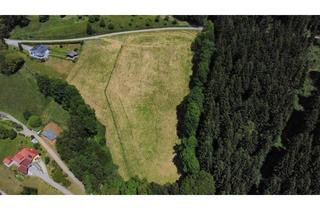 Gewerbeimmobilie kaufen in 9421 Eitweg, NEUER PREIS!! Landwirtschaftliches Weideland zu verkaufen!