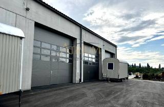 Immobilie mieten in 2500 Baden, Hochwertige Gewerbehalle mit imposanter Deckenhöhe, elektrischen Einfahrtstoren und Büros.