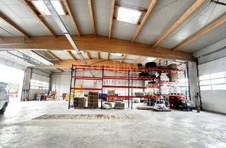 Immobilie mieten in 2500 Baden, Qualitative Gewerbehalle mit bis zu 7m Deckenhöhe, zwei elektrische Einfahrtstore und Büros.